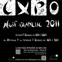Exposition Nuit blanche 2011